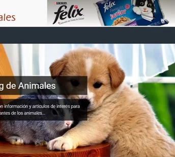bloganimales.com.es